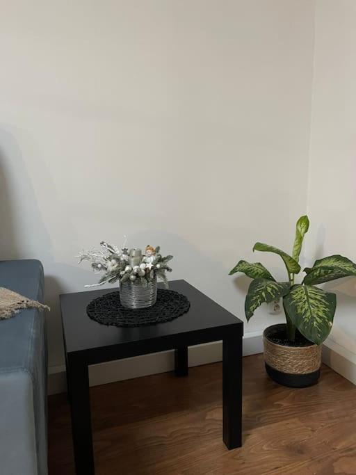 Apartament La Casa Temesvár Kültér fotó