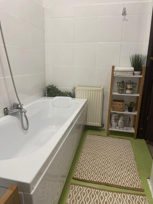 Apartament La Casa Temesvár Kültér fotó